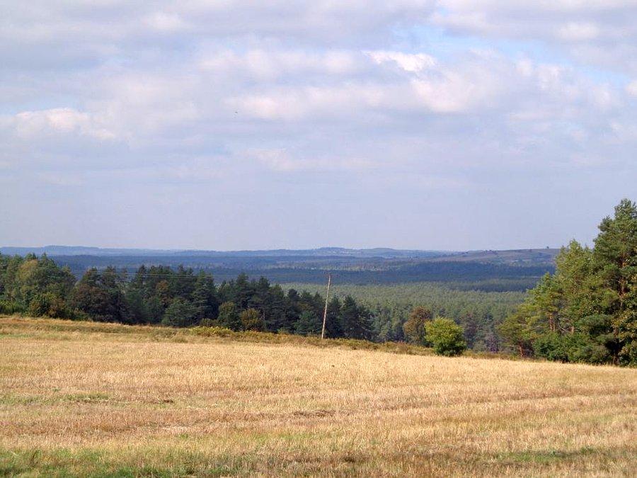 Gdzieś tam chyba na wyżynę Lubelską