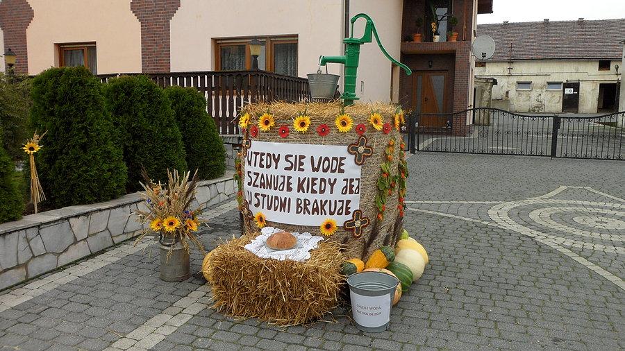 Dożynki gminne w Kromołowie 15