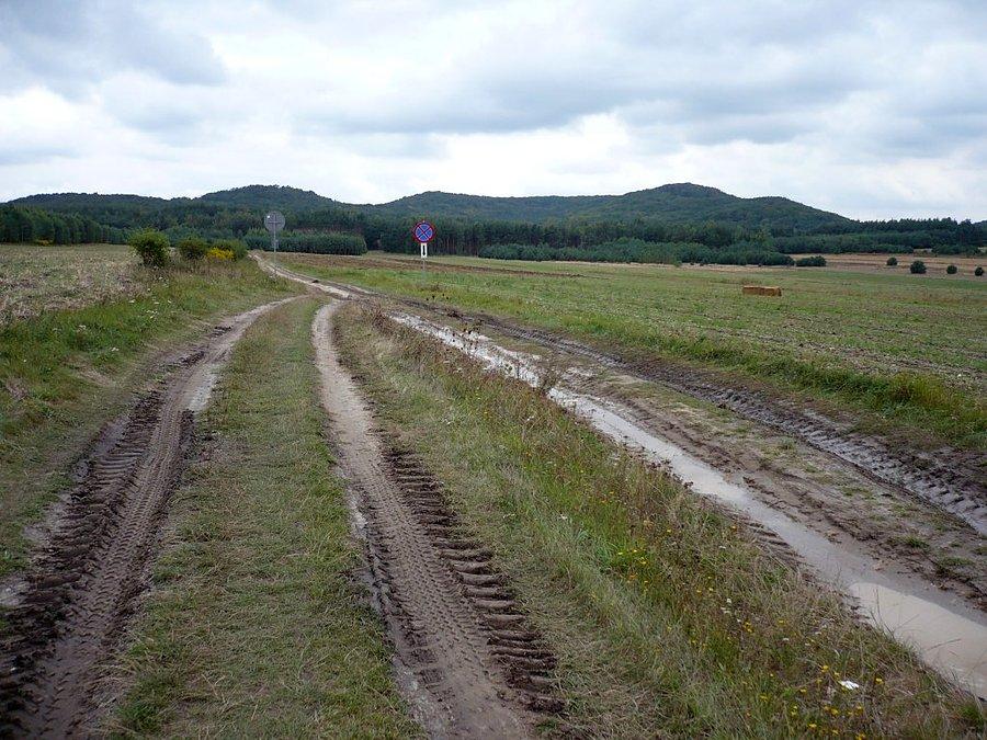 Zakaz zatrzymywania, dwupasmówka