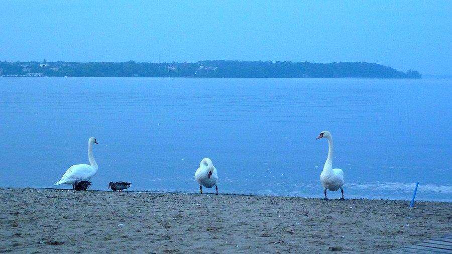 Jezioro Zegrzyńskie