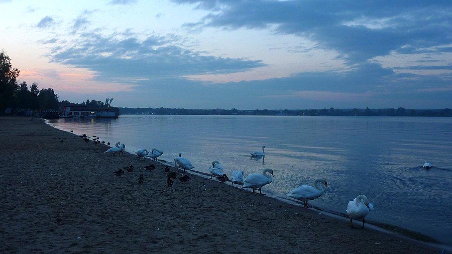 Wieczorem nad jeziorem
