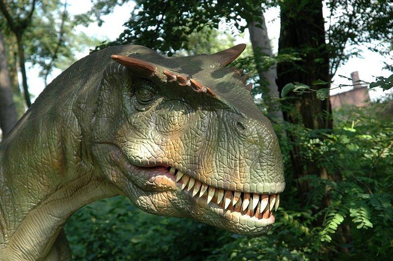 Park dinozaurów w Zatorze - z archiwum