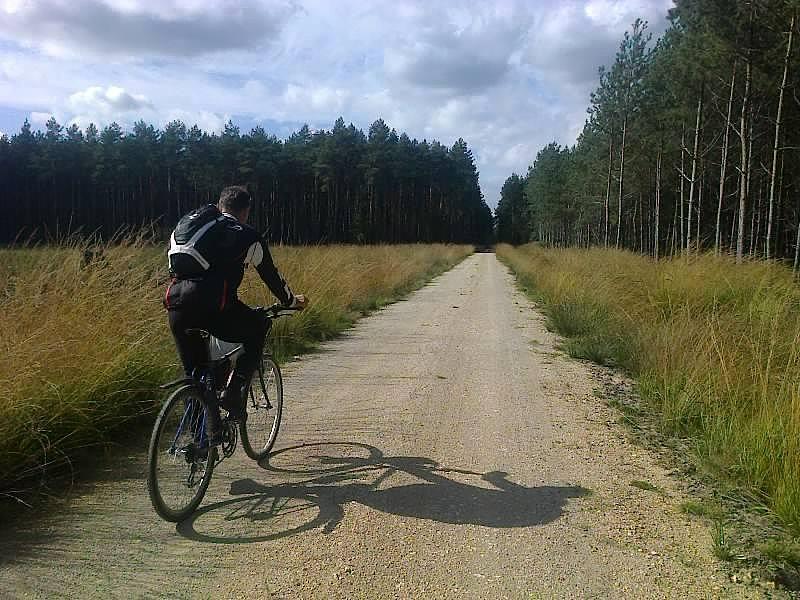 Wilk syty i owca cała