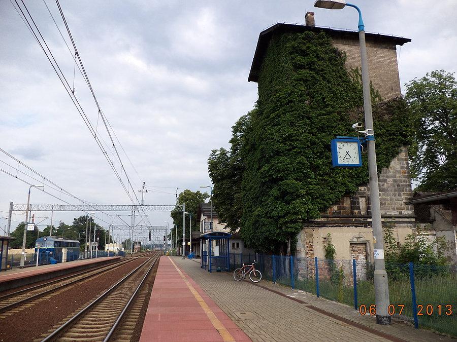Stacja Zebrzydowa i słynny, najstarszy w Polsce bluszcz