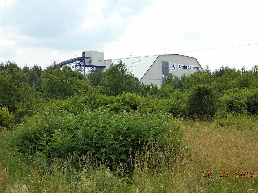 Kopalnia i zakład przeróbczy kwarcu w Osiecznicy