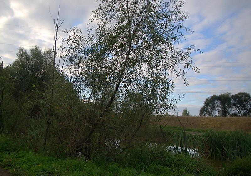 Trochę słońca