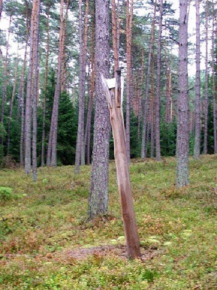 Mijam taką oto lizawkę, ze stosownym opisem- a jakże