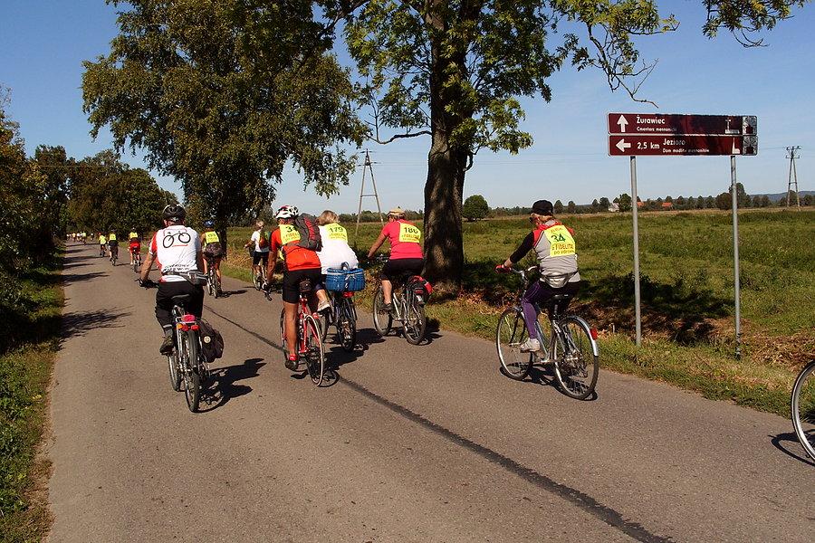 Rowerzyści w drodze powrotnej