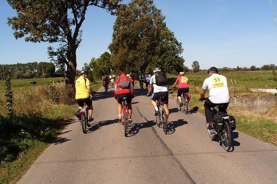 Rowerzyści w drodze powrotnej