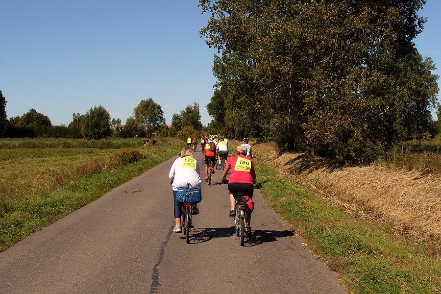 Rowerzyści w drodze powrotnej