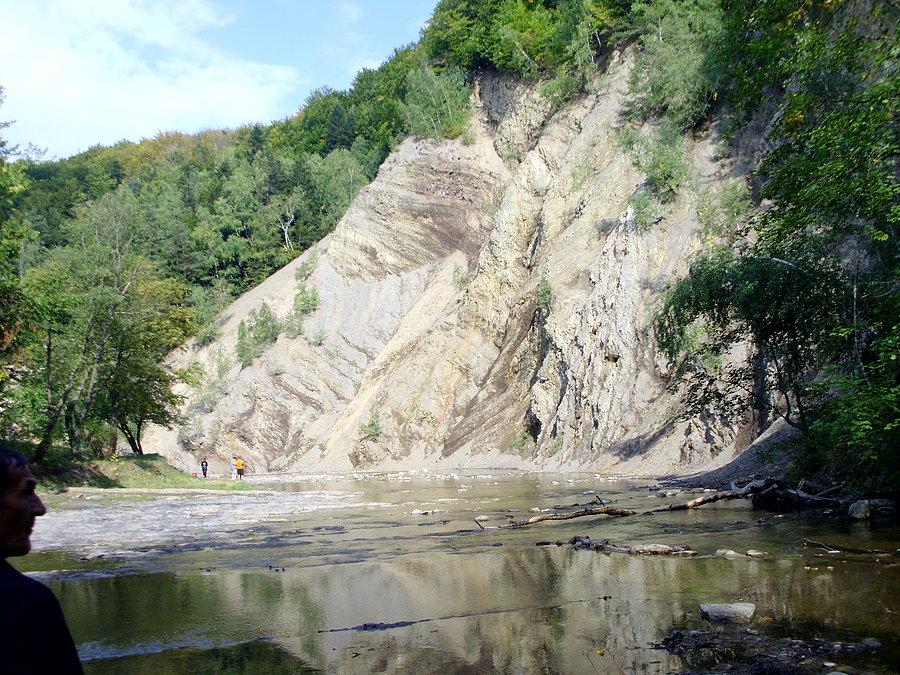 Przełom Wisłoka w Rudawce Rymanowskiej