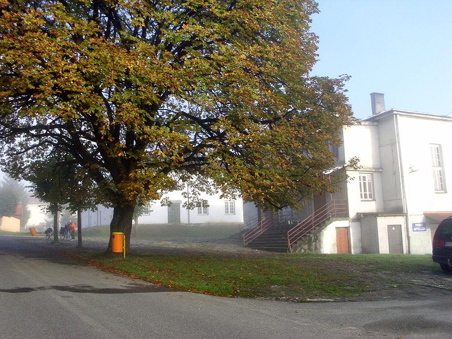 Jaśliska o poranku spowite mgłą