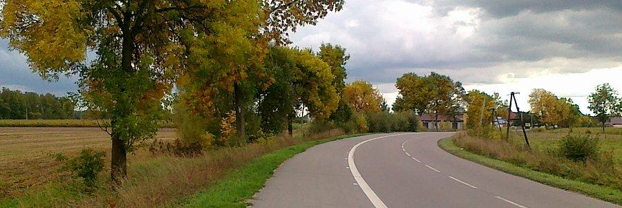Pierwsze oznaki jesieni już widać