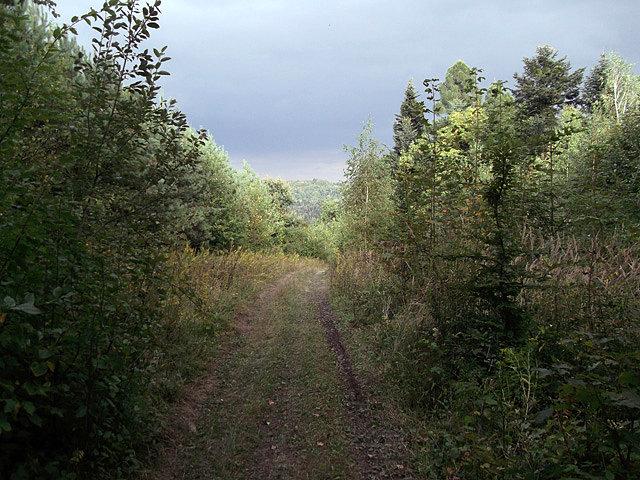Niebieski szlak