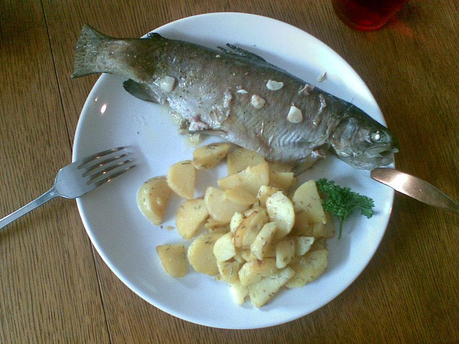 Pieczony pstrąg
