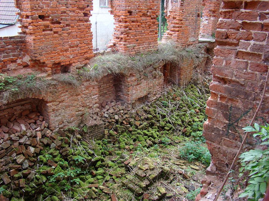 Widok z góry