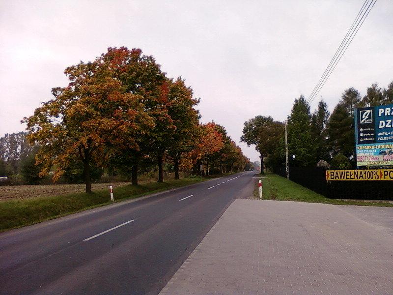 Szosa Zgierz - Aleksandrów