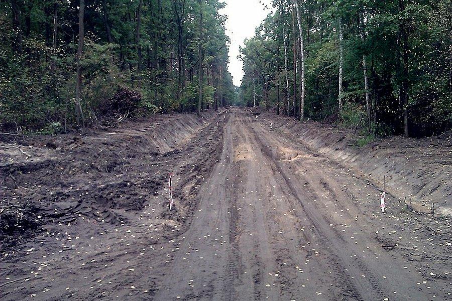 Chyba budują autostrade przez las