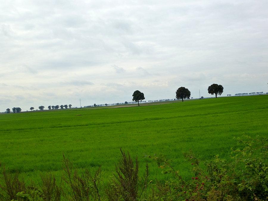 Niemcy Wschodnie: DDR Unisław- Toruń 5