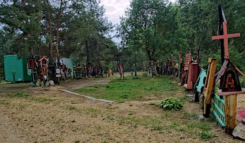 Las krzyży