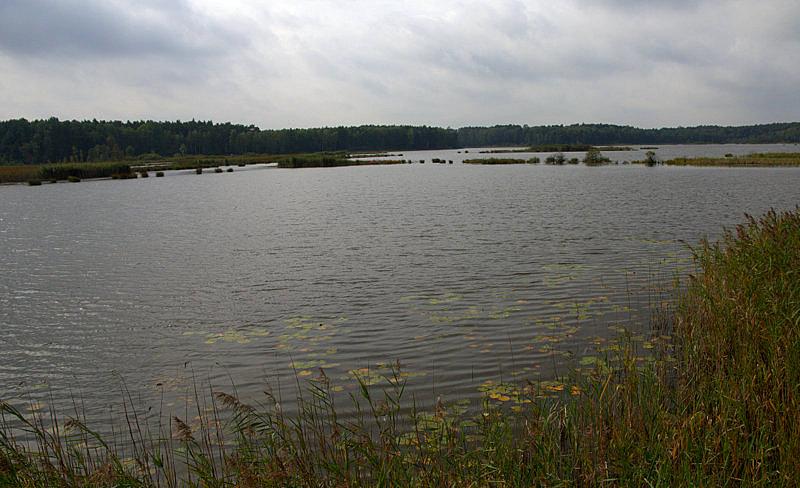 Jeziorko..., szkoda że jest tak pochmurno