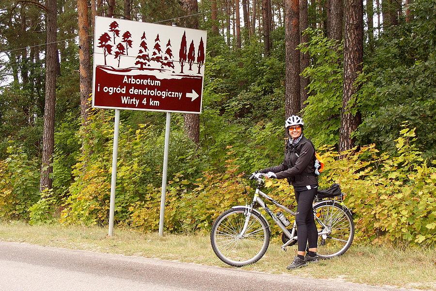 Niedaleko Borzechowa…