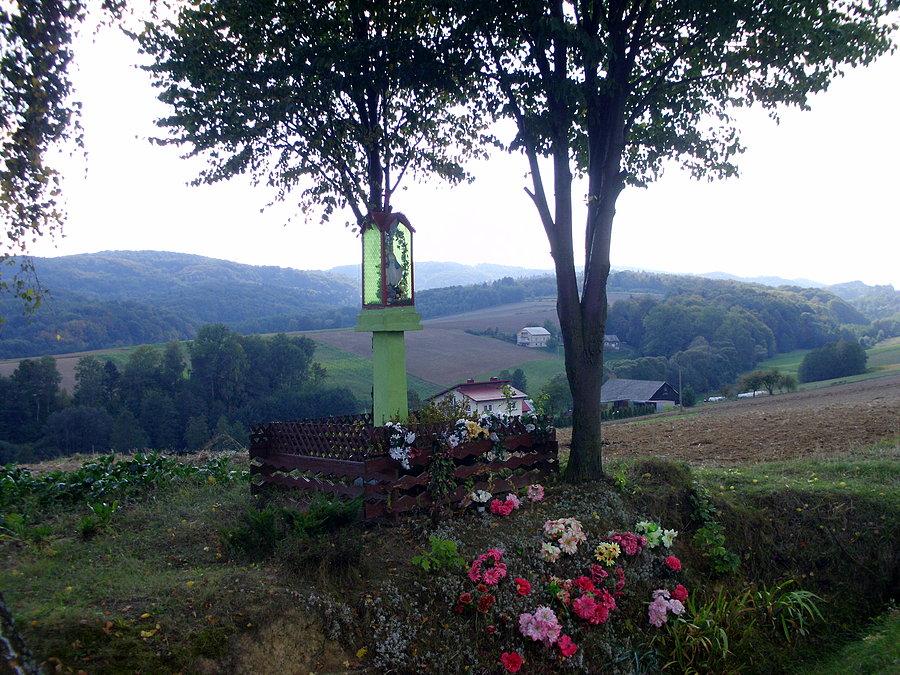 Przydrożna kapliczka w drodze go Tuchowa