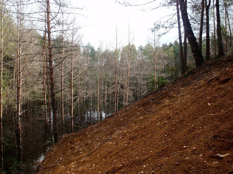 Hałda kopalni Bibiele-Paśniki