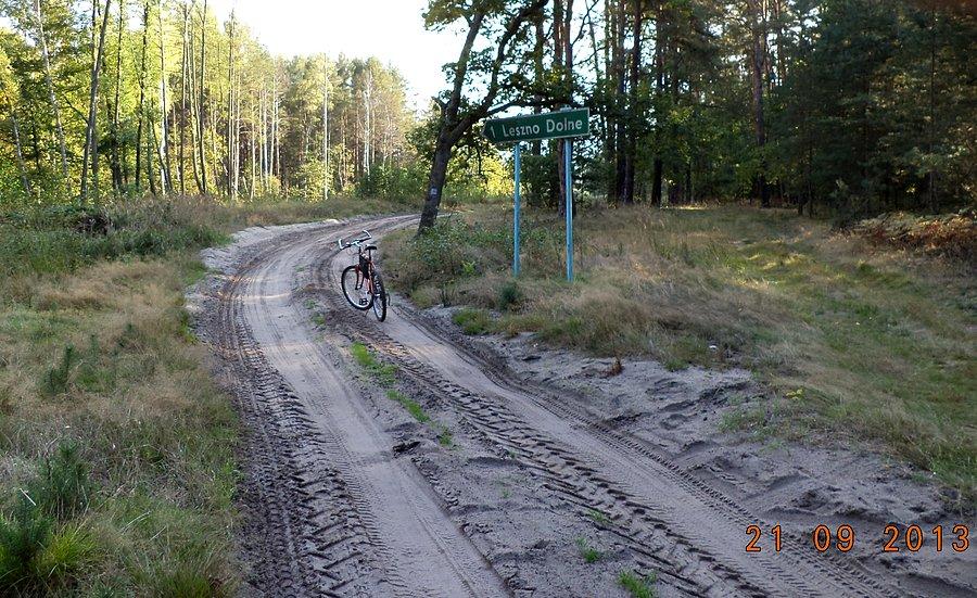 Drogowskaz w środku lasu