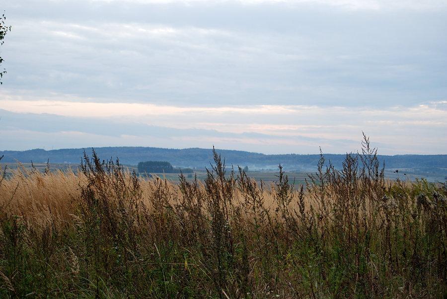 Widok z pierwszej górki
