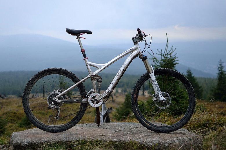 Stumpy na Sinych Skałkach