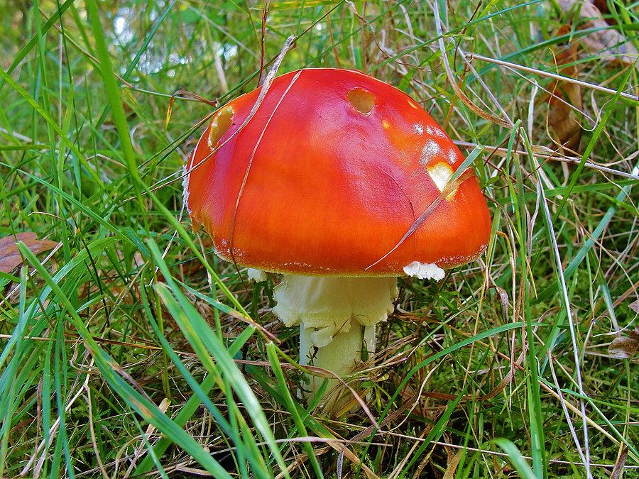 Na trasie jesiennej wycieczki rowerowej - Kociewie