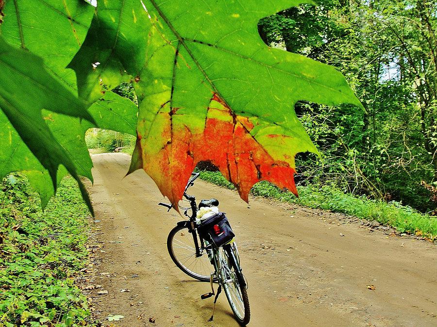 Na trasie jesiennej wycieczki rowerowej - Kociewie