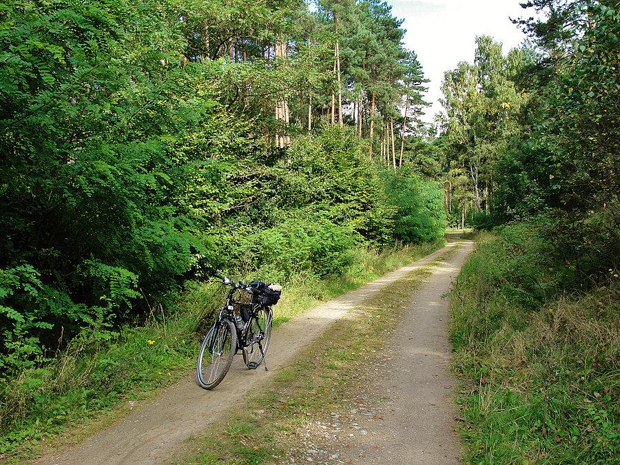 Na trasie jesiennej wycieczki rowerowej - Kociewie