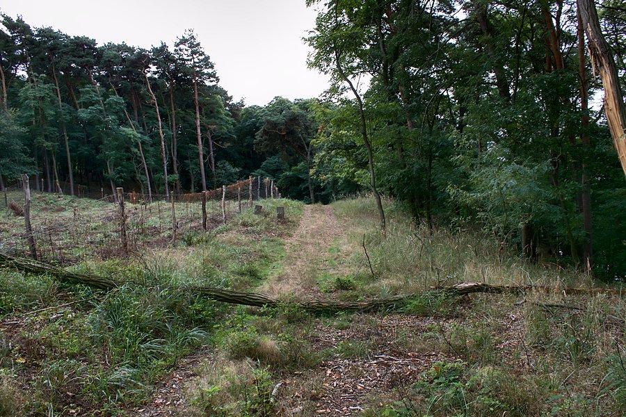 Przeszkody drogowe