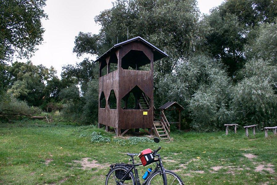 Wieża widokowa przed Gartz