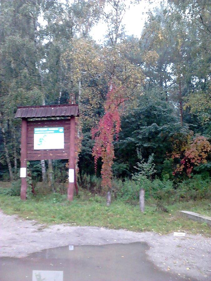 Idzie, idzie pani jesień..ale w lesie jeszcze zielono