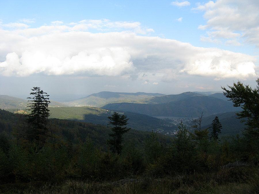 Widoczek