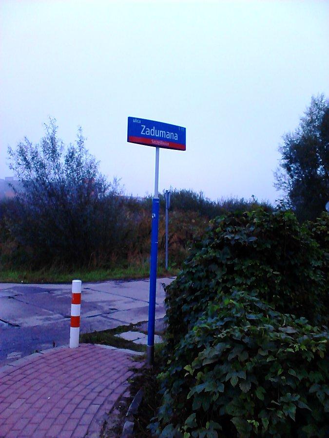Nad czym się zadumała?
