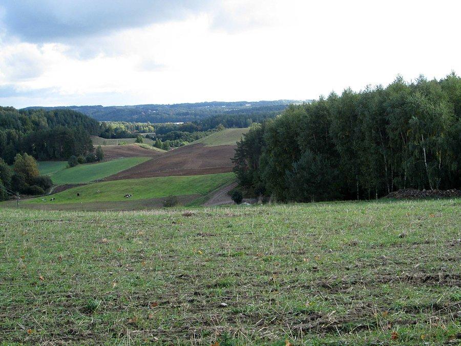 Okolice Wygody Łączyńskiej