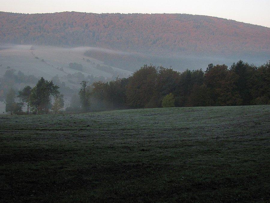 Szrony na łąkach