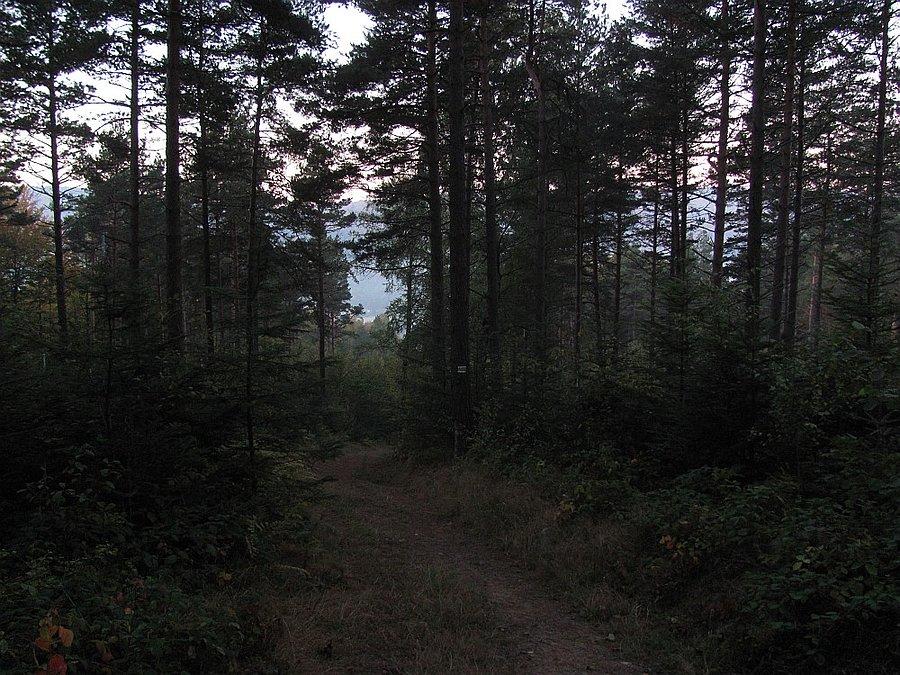 Widoki z porannego zbiegania do wsi