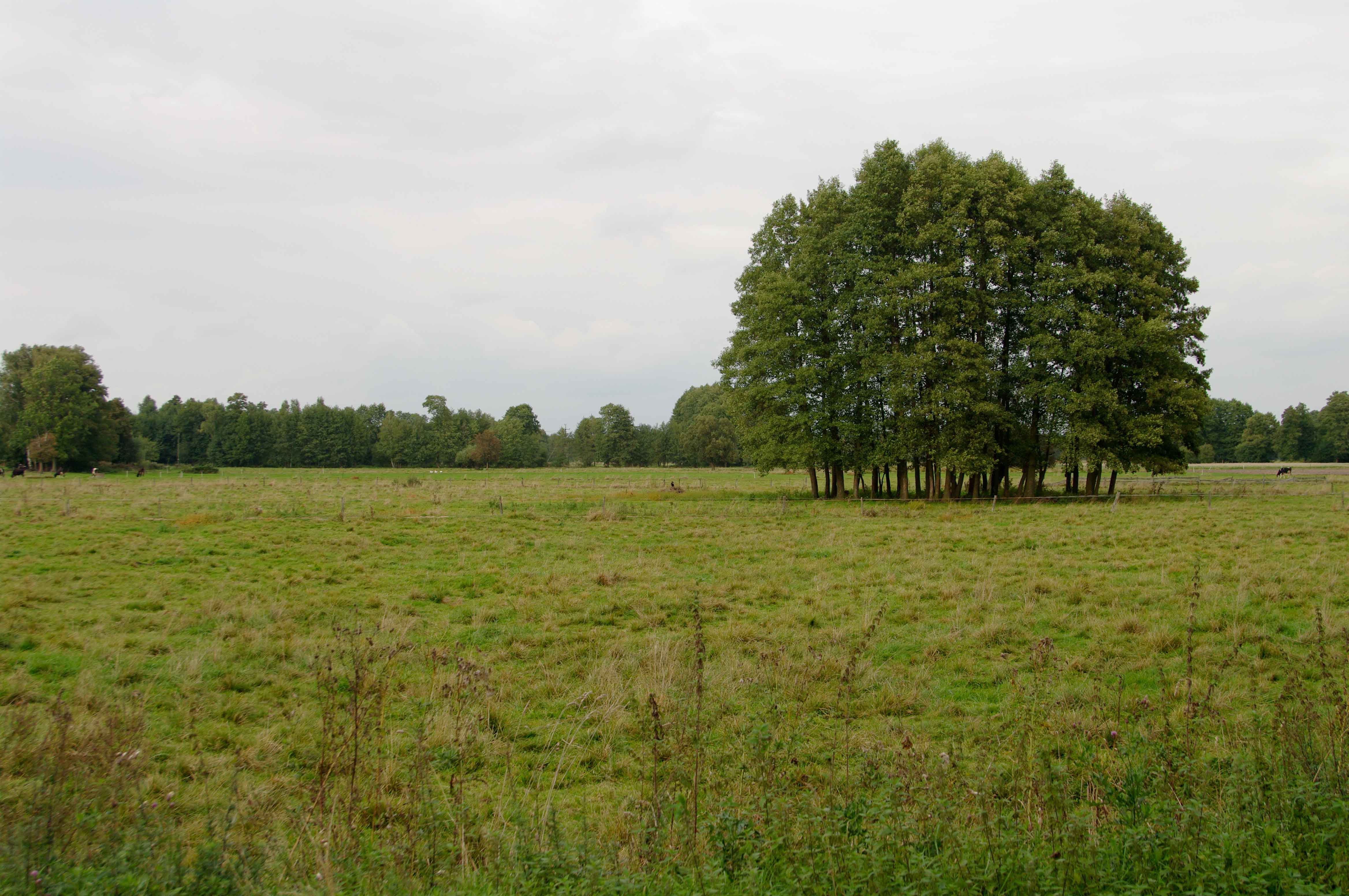 Gdzieś po drodze