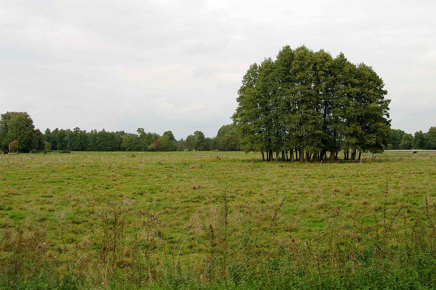Krajobraz gdzieś po drodze