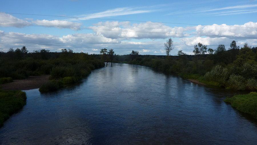 Rzeka Liwiec