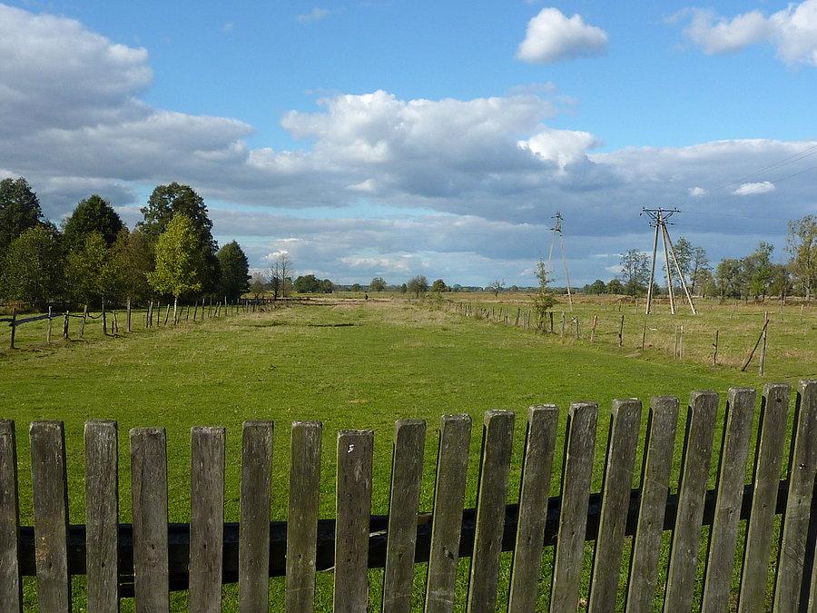 Łąk nad Bugiem ciąg dalszy