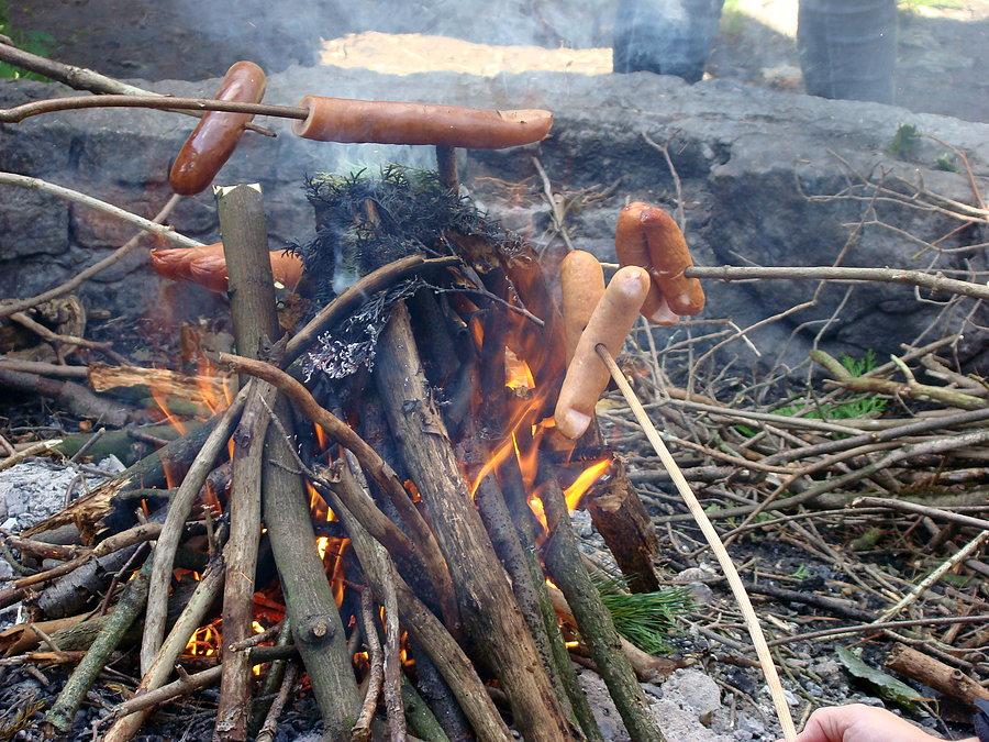 Ognisko płonie i kiełbaski się pieką