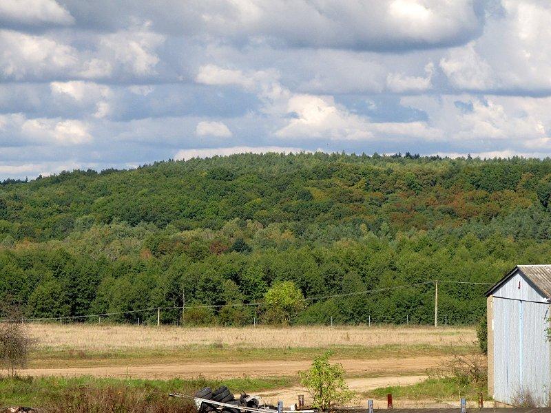 Widok na pagórek w okolicy Dąbrówki Kościelnej