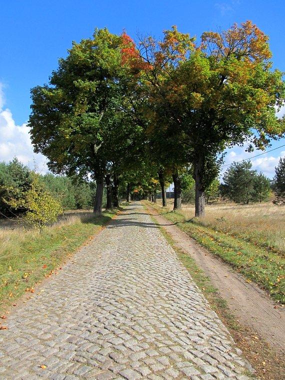 Brukowana droga z Rejowca do Stawianów