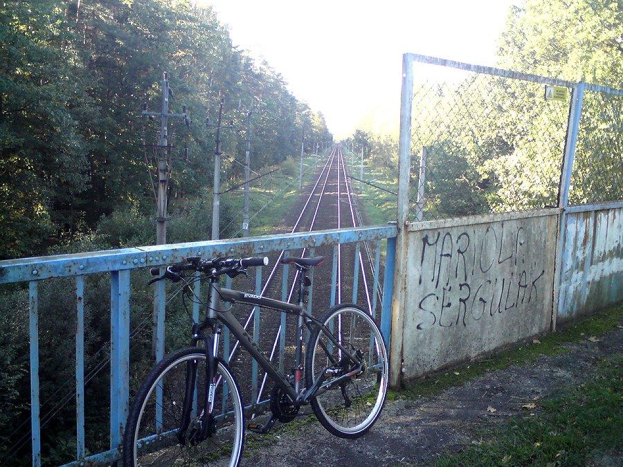 Las Karłowice-Popielów